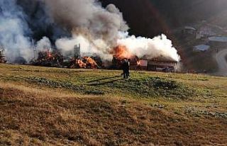 Yaylada çıkan yangın 5 evi kül etti