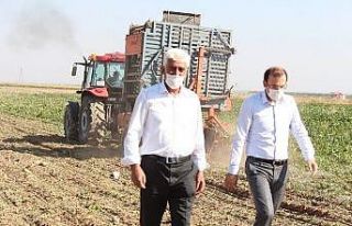 Yazıhan’da pancar hasadı başladı