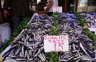 Yerlisi çıktı, kilosu 40 TL’den 15 TL’ye düştü