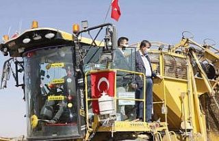 Yeşilhisar’da şeker pancarı hasadı