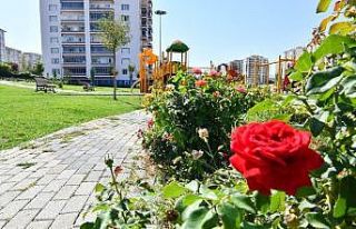 Yeşilyurt renklendi