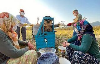 Yılda 1 kez üretilebilen şeker kamışı pekmezinin...