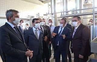 Yıllardır atıl duran süt işleme tesisi 70 hükümlüye...