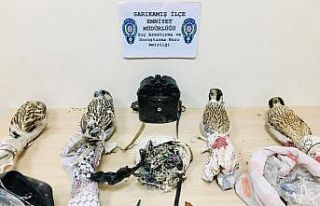 Yırtıcı kuş kaçakçıları suçüstü yakalandı