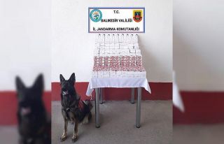 Yolcu otobüsü ile uyuşturucu getiren zanlı yakalandı