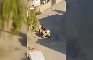 Yorgun düşen ata gitmesi için şişle şiddet uyguladı