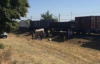 Yük treni kamyonu biçti: 1 ölü