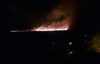 Yüksekova’da birçok kuş türünün yaşadığı...