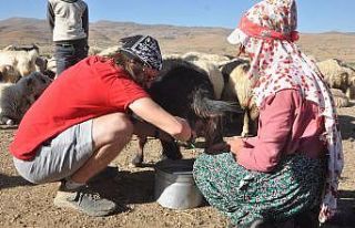 Yüksekova’ya hayran kalan İtalyan, koyun sağmayı...