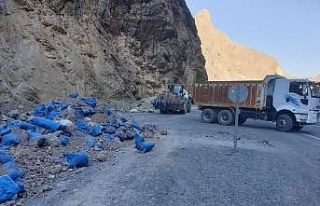 Zap Suyu çevresi çöplerden arındırıldı