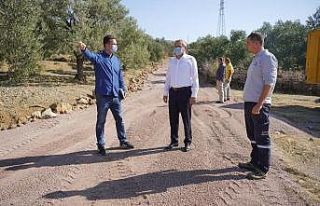 Zeytinlikler arası yollara neşter