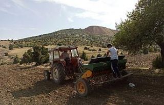 Zorluklara rağmen Anadolu’da sonbahar ekiminin...