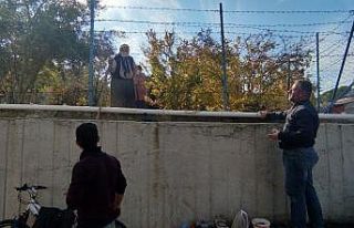 10 liralık boru iki komşuyu birbirine düşürdü