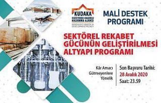 2020 yılı Sektörel Rekabet Gücünün Geliştirilmesi...