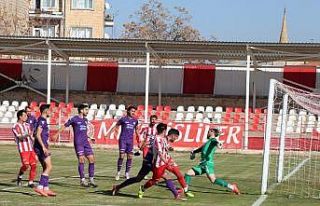 3. Lig: Nevşehir Belediyespor: 4 - Artvin Hopaspor:1