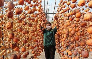 40 kiloyla başladı bu yıl hedefi 15 ton