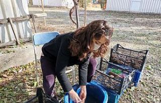 4 bin yıl öncesini aydınlatan Kültepe’ye ’gönüllü’...