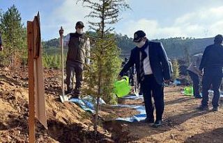 5 bin fidan toprakla buluştu