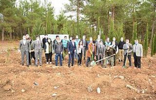 7 bin 200 fidan toprakla buluştu