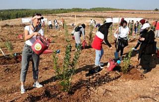 Adana’da 50 bin fidan toprakla buluştu