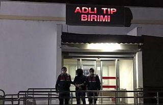 Adana’da DEAŞ operasyonu: 1 tutuklama
