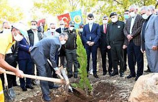 Adıyaman’da 82 bin ağaç fidan dikildi