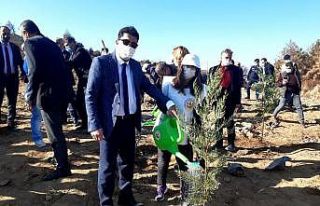 ADÜ Rektörü Aldemir Söke’deki ağaç dikme etkinliğine...