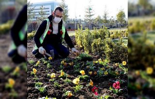 Afyonkarahisar’da 300 bin çiçek dikimi yapılacak