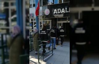 Ağaç kovuğuna saklanan uyuşturucuyu narkotik köpeği...