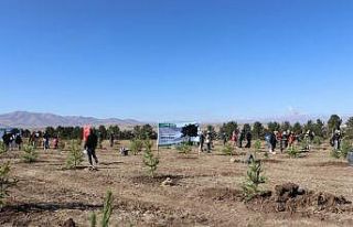 Ağrı’da binlerce fidan toprakla buluştu