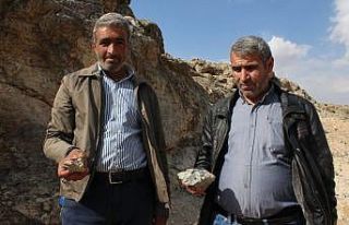 Ağrılı işsiz gençlere ’altın’ fırsat