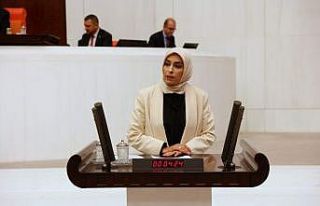 AK Parti Milletvekili Ban, NATO PA ekonomi ve güvenlik...