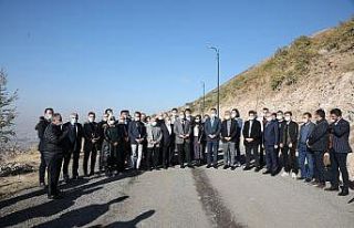 AK Parti teşkilatı Ali Dağı’nda ağaç dikti