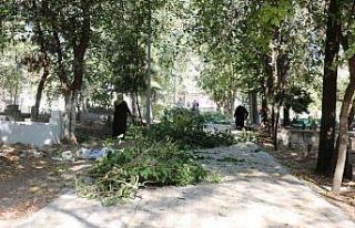 Akçakale’deki mezarlıkta çevre düzenlemesi