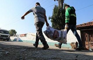 Akhisar’da budanan ağaçlar ihtiyaç sahiplerine...