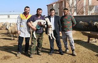 Aksaray’da "Köyümde Yaşamak İçin Bir ’Sürü’...