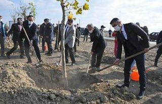 Akşehir Belediyesinden 200 ağaç fidanı