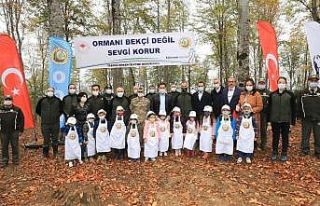Amasya’da orman gençleştirme çalışması