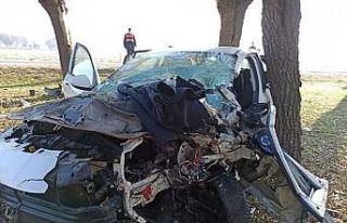 Ambulans helikopter, ağaca çarpan otomobil sürücüsü...
