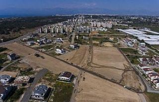 Antalya’da şehrin göbeğine buğday tarlası