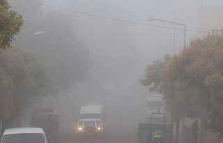 Araban’da sis hayatı olumsuz etkiledi