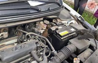 Araç motorunda ki yavru kedi uzun uğraşlarla kurtarıldı