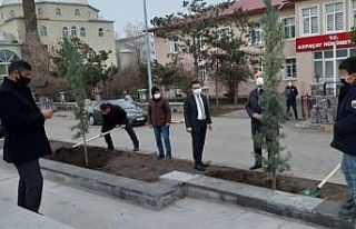 Arpaçay’da Atatürk Parkı ağaçlandırıldı
