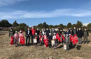 Aslanapa’da bin adet sedir ağacı toprakla buluştu