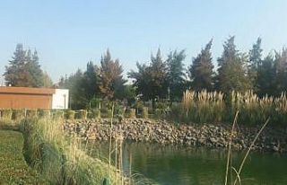 Atatürk Kent Park’ta kış bakımı