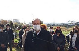 Avcılar’da kadınlar için zeytin ağaçları dikildi