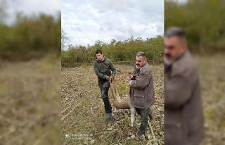 Avcılardan örnek davranış