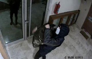 Ayakkabı hırsızı tutuklandı