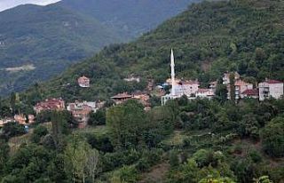 Ayancık’ta bir mahalle karantinaya alındı