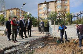 Aydoğan Mezarlığında yenileme çalışmaları...